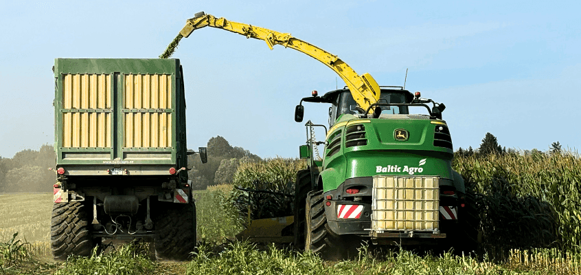 Võta maisitärklisest viimast