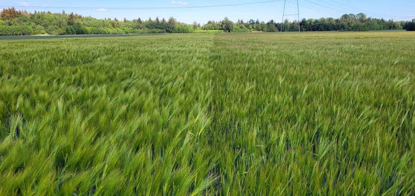 Taliodra sordivõrdlus 2024