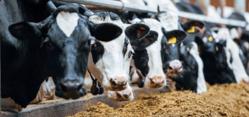 Loomakasvatusseminar 2015