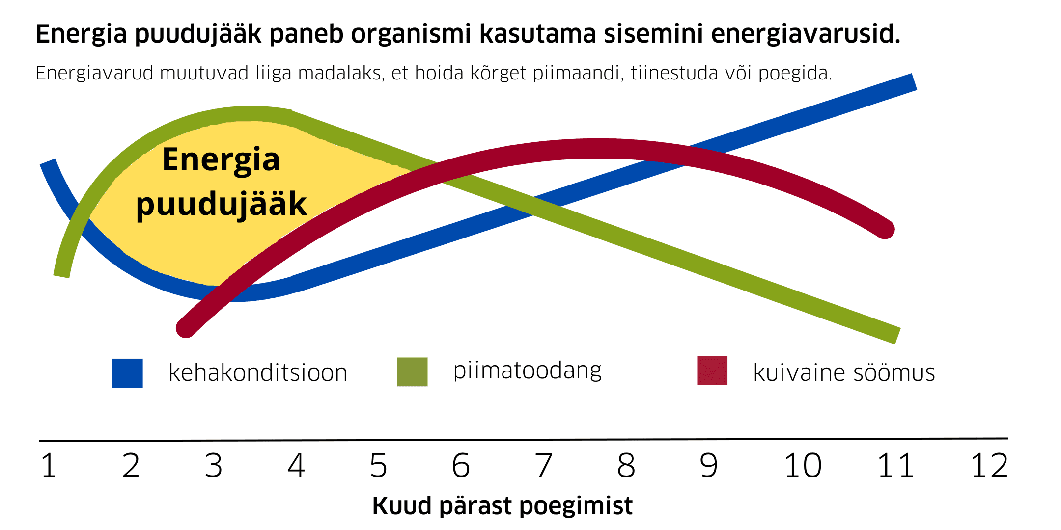 Energia puudujääk paneb organismi kasutama sisemisi energiavarusid