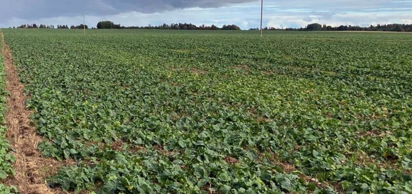 Talveks valmistumine