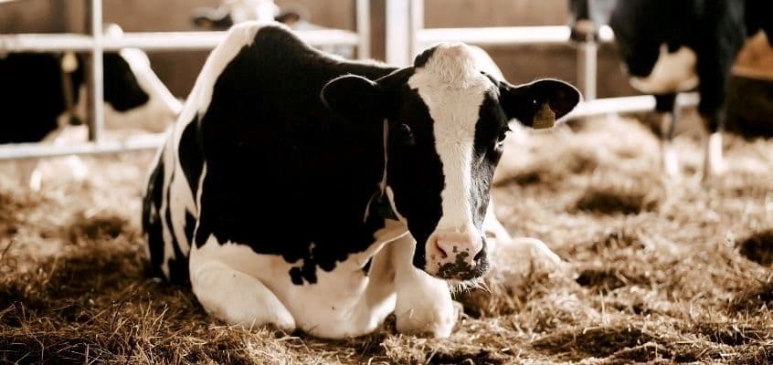 Minera mahepangemineraalide võrdlus