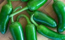 Jalapeno