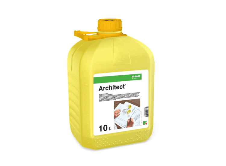 Architect