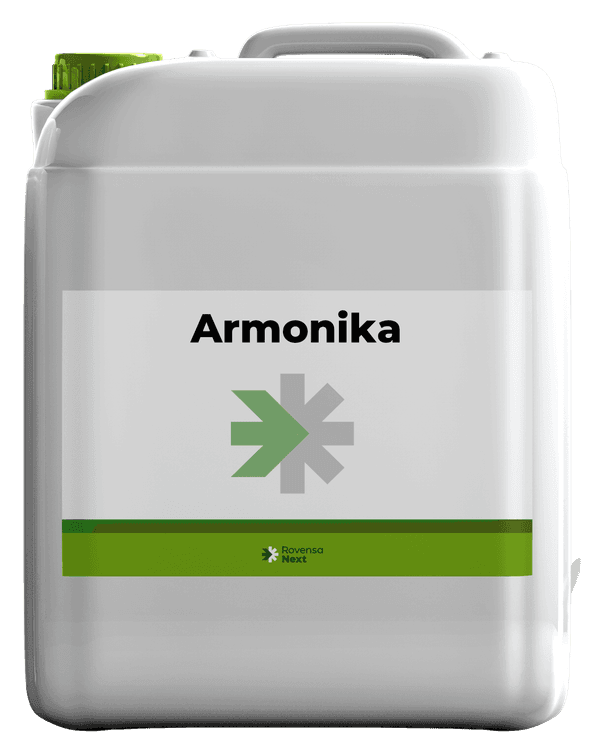 ArmoniKa background