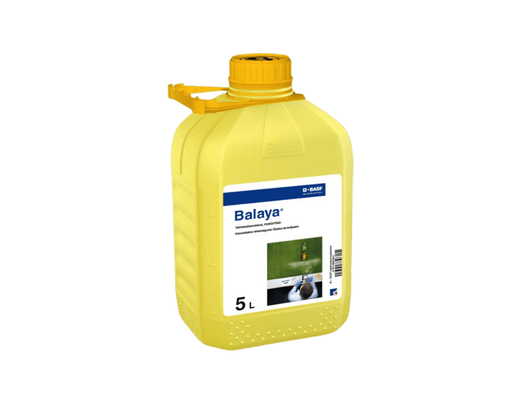 Balaya