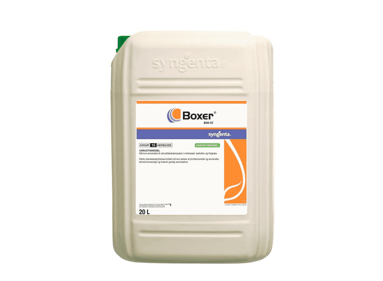 Boxer 800 EC