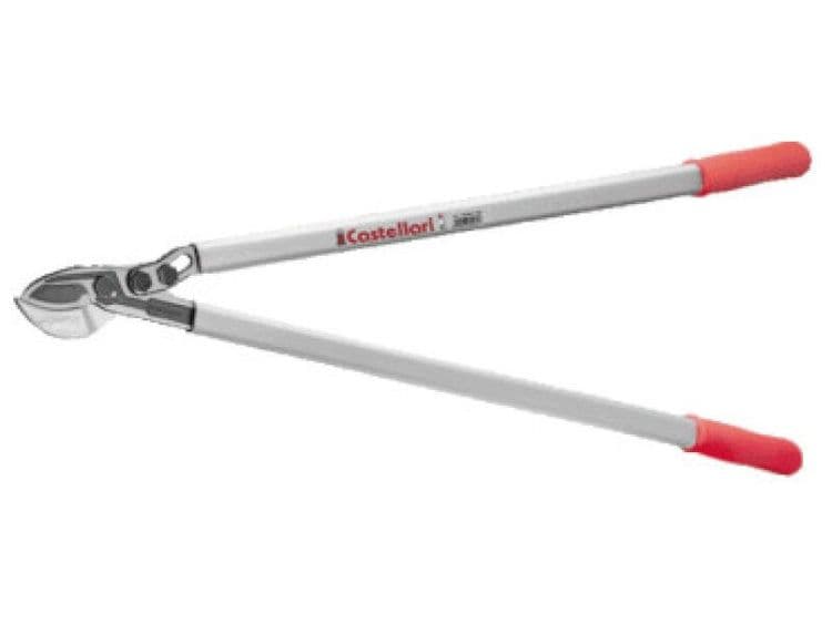 Oksakäärid TUCANO C80