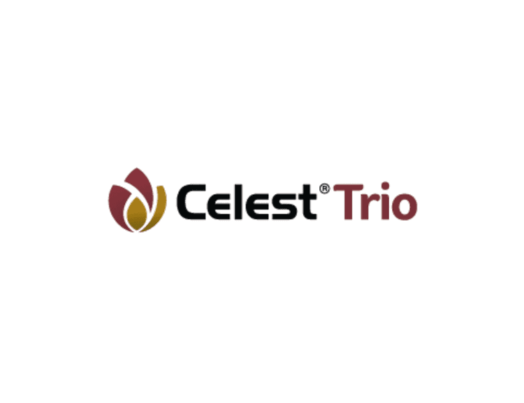 Celest Trio 060 FS