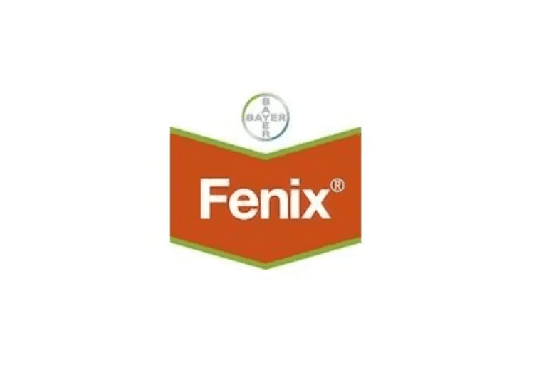 Fenix background