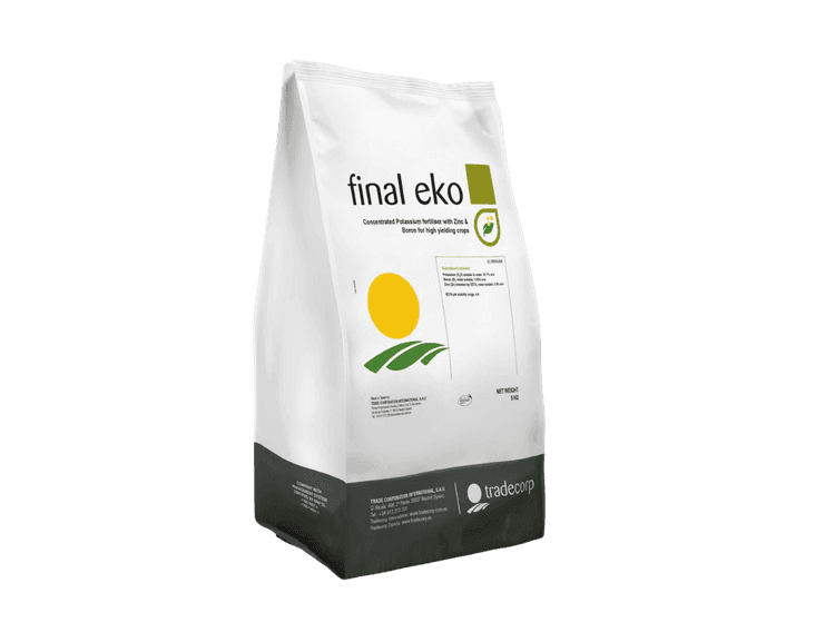 Final eKo