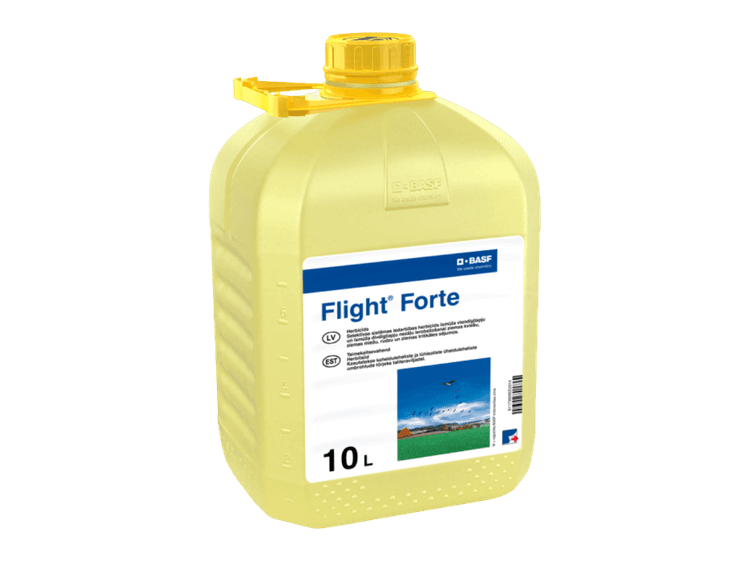 Flight Forte