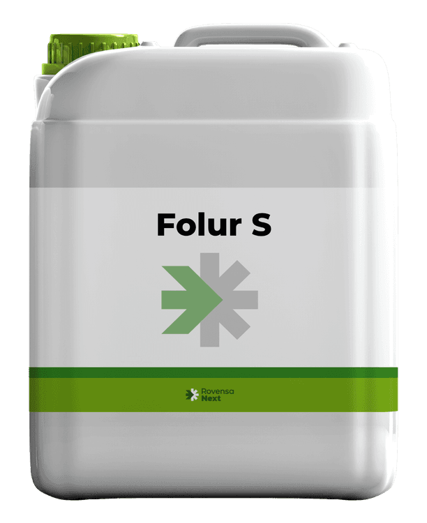 Folur S background