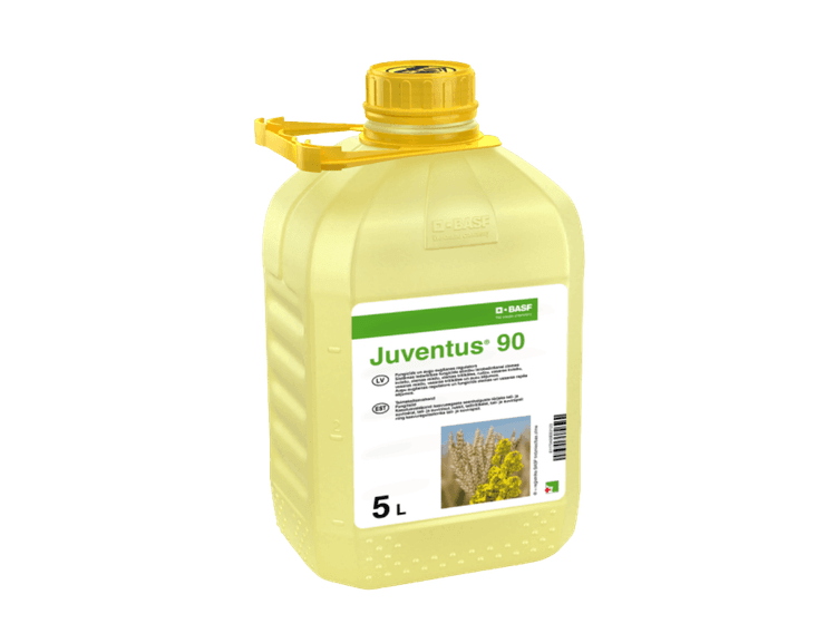 Juventus 90