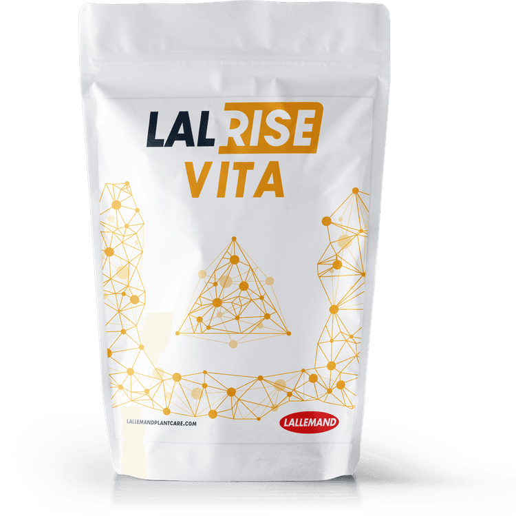 Lalrise Vita