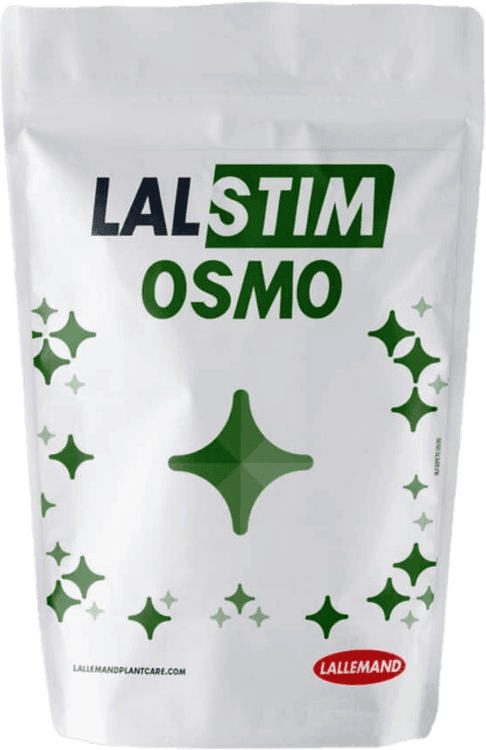 Lalstim Osmo background