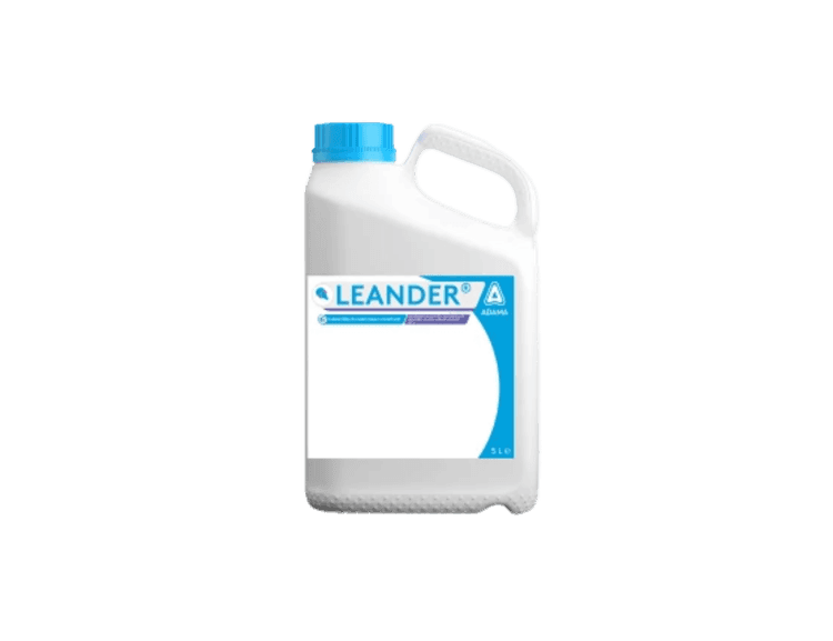 Leander