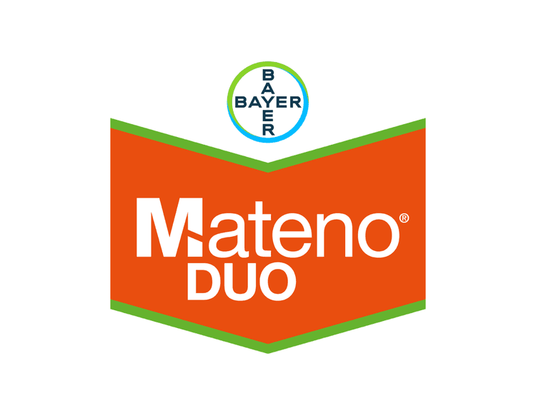 Mateno Duo