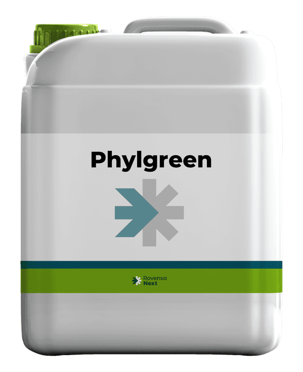 Phylgreen background