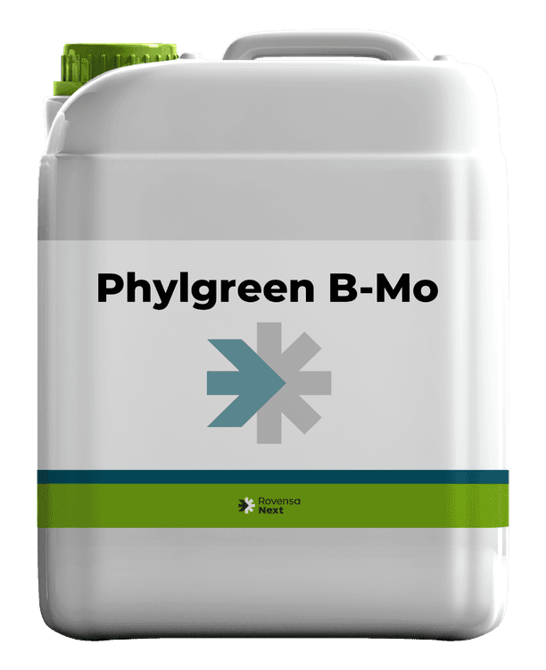 Phylgreen B-Mo background