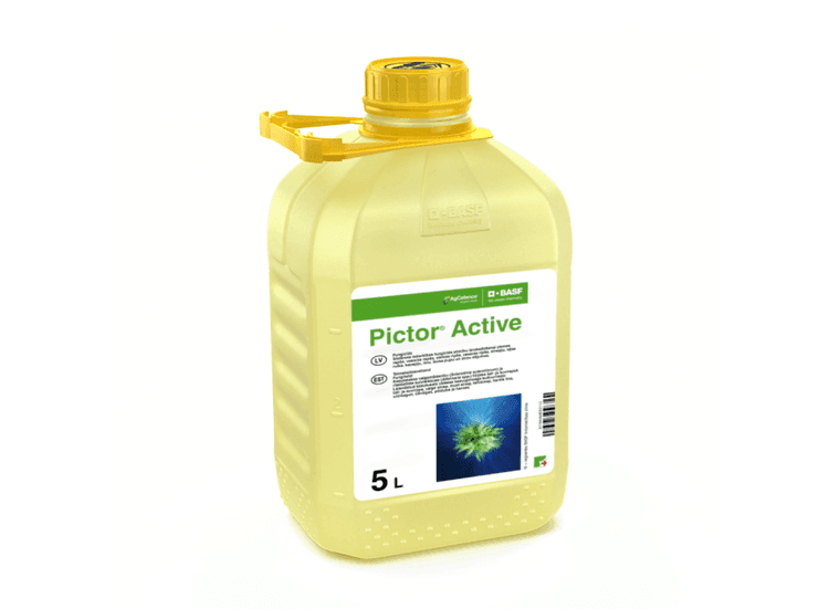 Pictor Active
