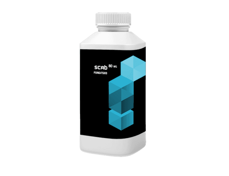 Scab 80 WG