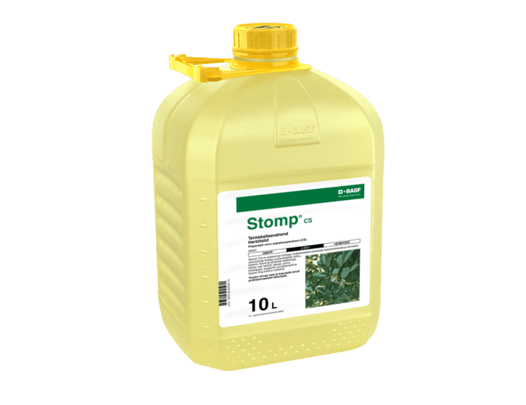 Stomp CS