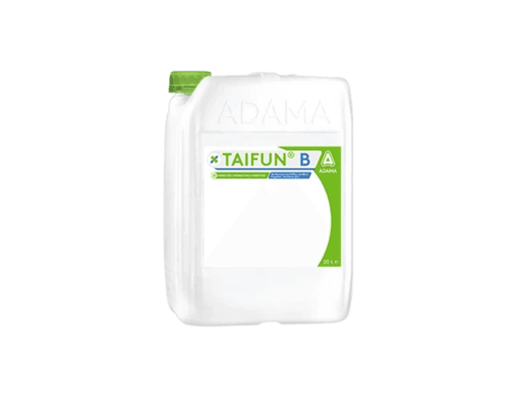 Taifun B
