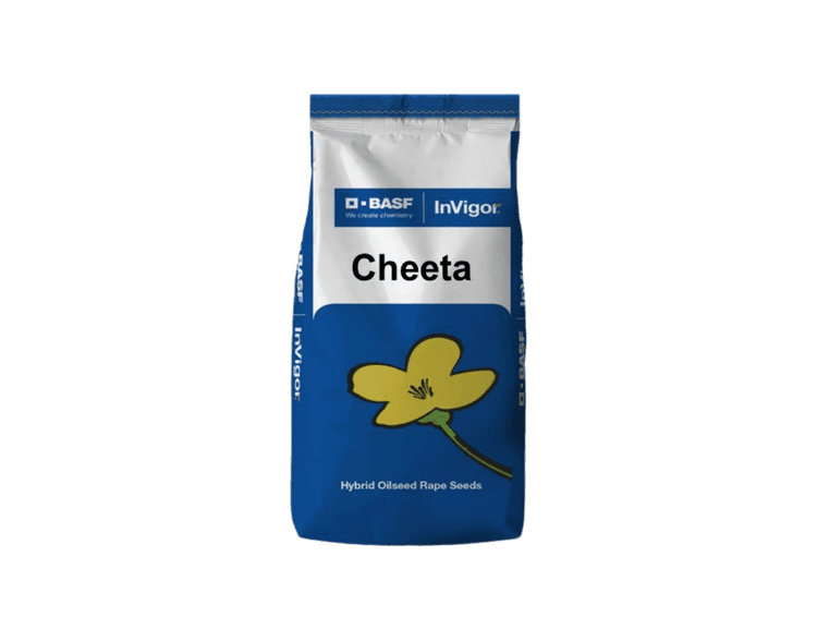 Taliraps Cheeta