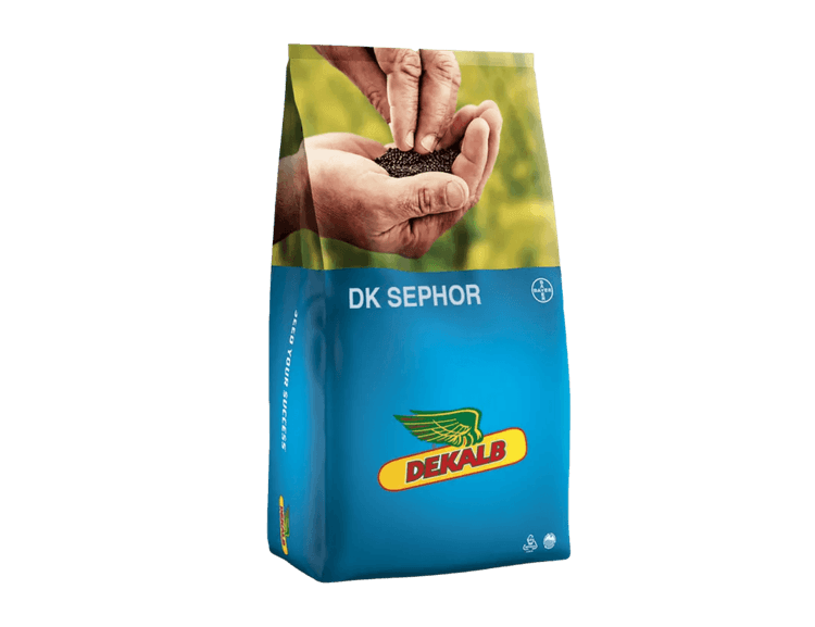 Taliraps DK Sephor
