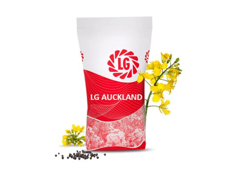 Taliraps LG Auckland