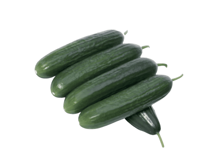 Laheeb