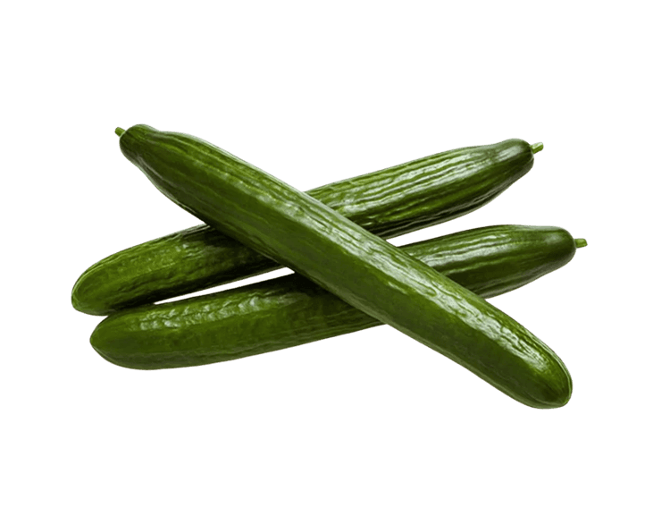 Plexor