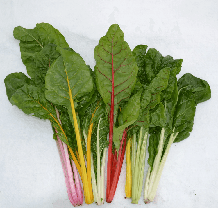 Rainbow Chard​