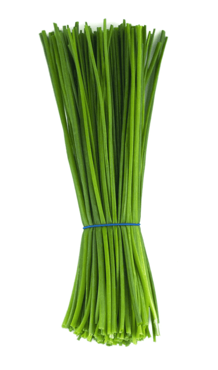 Medium Leaf
