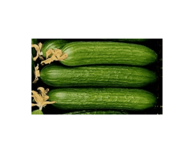 Nikodem