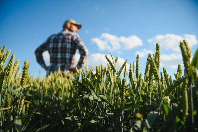 Baltic Agro