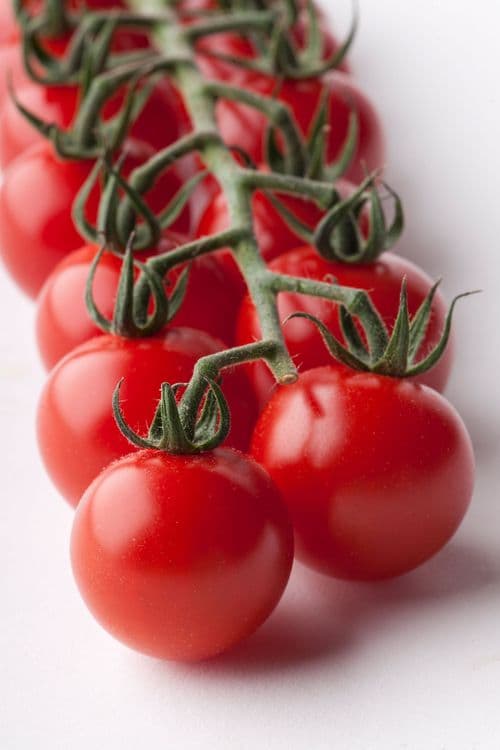 Gourmelito