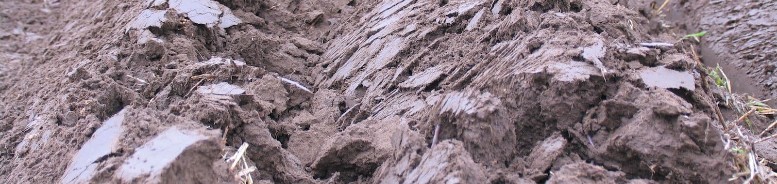 Bioloogilised tooted. Faktid