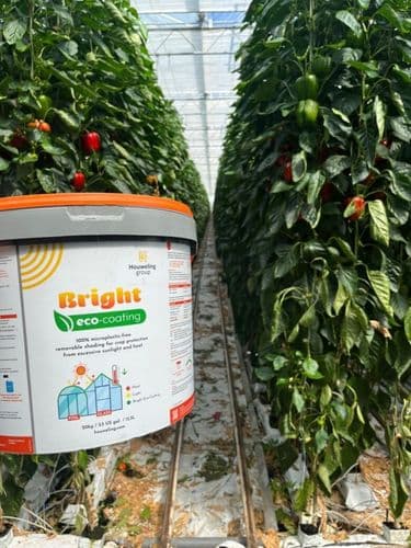 Varjutusaine Bright Eco 20 kg kasvuhoones