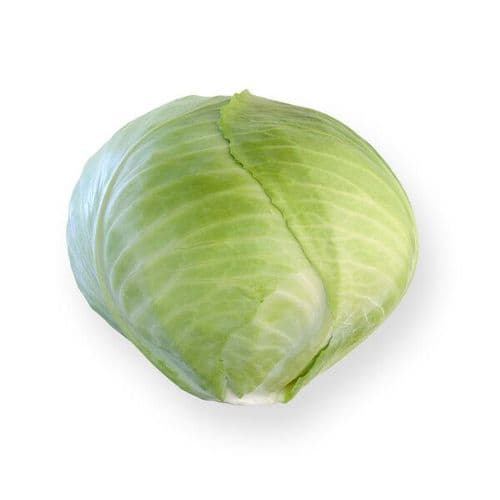 Ancoma