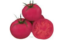 Fuji Pink