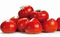 Gourmandia