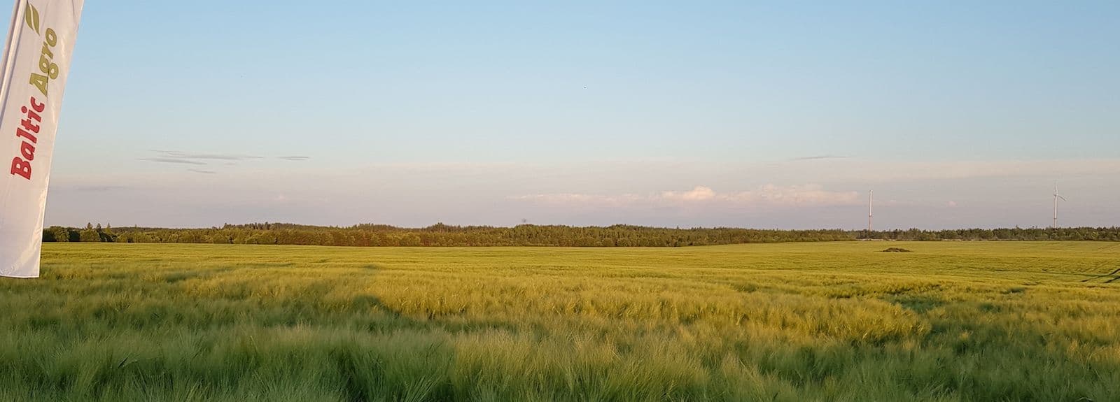 Üldhävitavad herbitsiidid