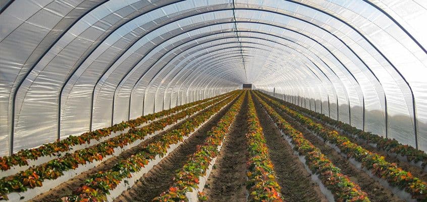 Aiandusproffide infopäev 2023