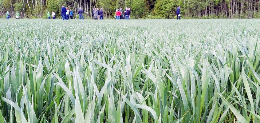 2023 põlluseminarid