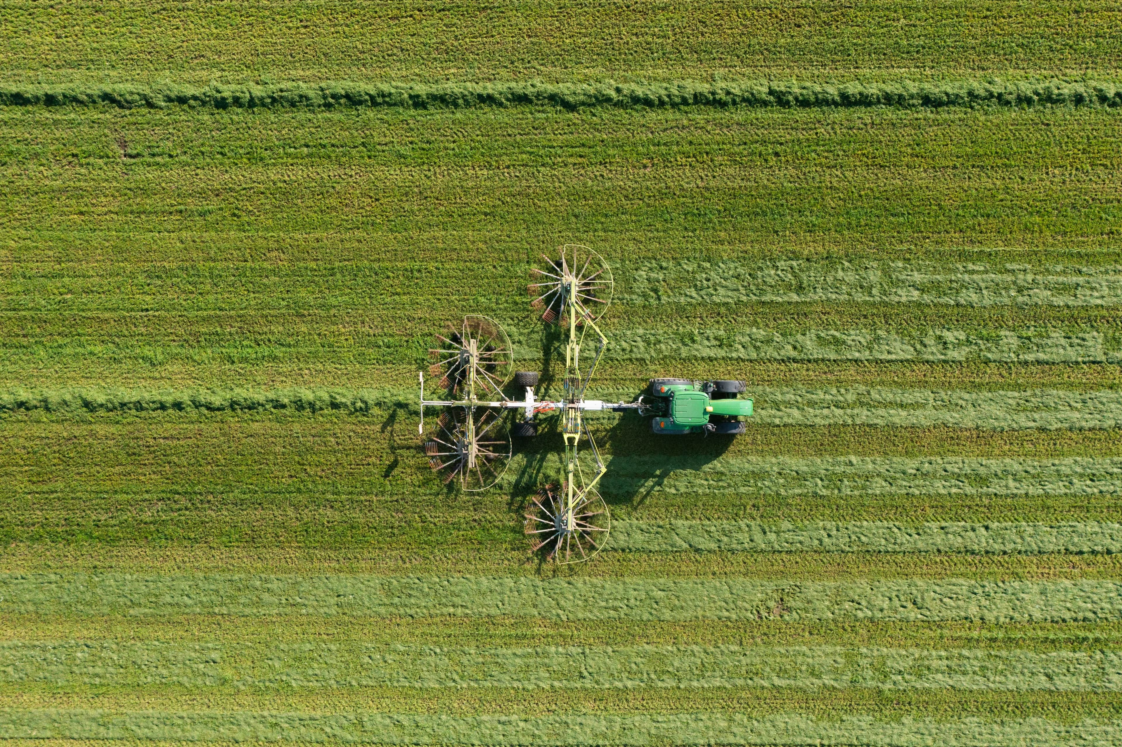 Bioloogilised silokindlustuslisandid