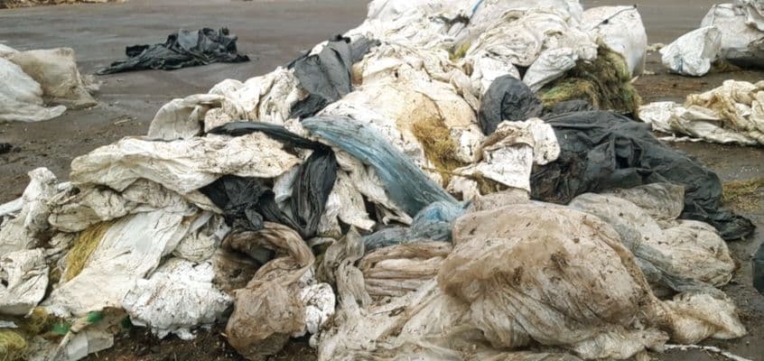 Silokile taaskasutus