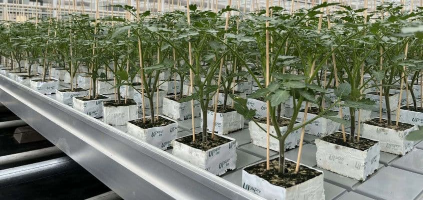 Kasvuhoone sisseseaded