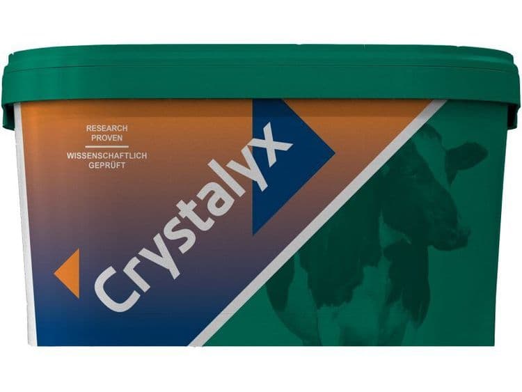 Crystalyx Cattle High-Mag